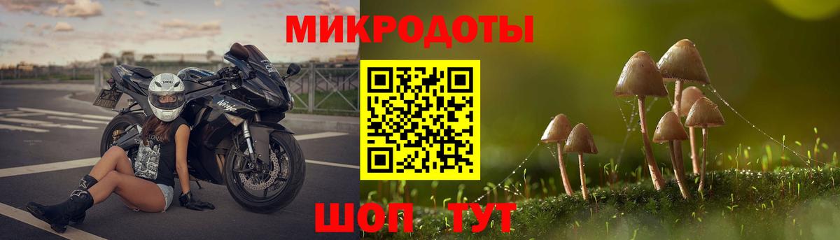 Псилоцибиновые грибы GOLDEN TEACHER  Вход с VPN  Острогожск  Галлюциногенные грибы мицелий 